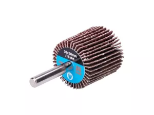 Kotouč lamelový brusný na stopce 31x31 P61 21856