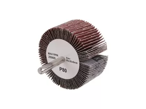 Kotouč lamelový brusný na stopce 61x31 P81 21862